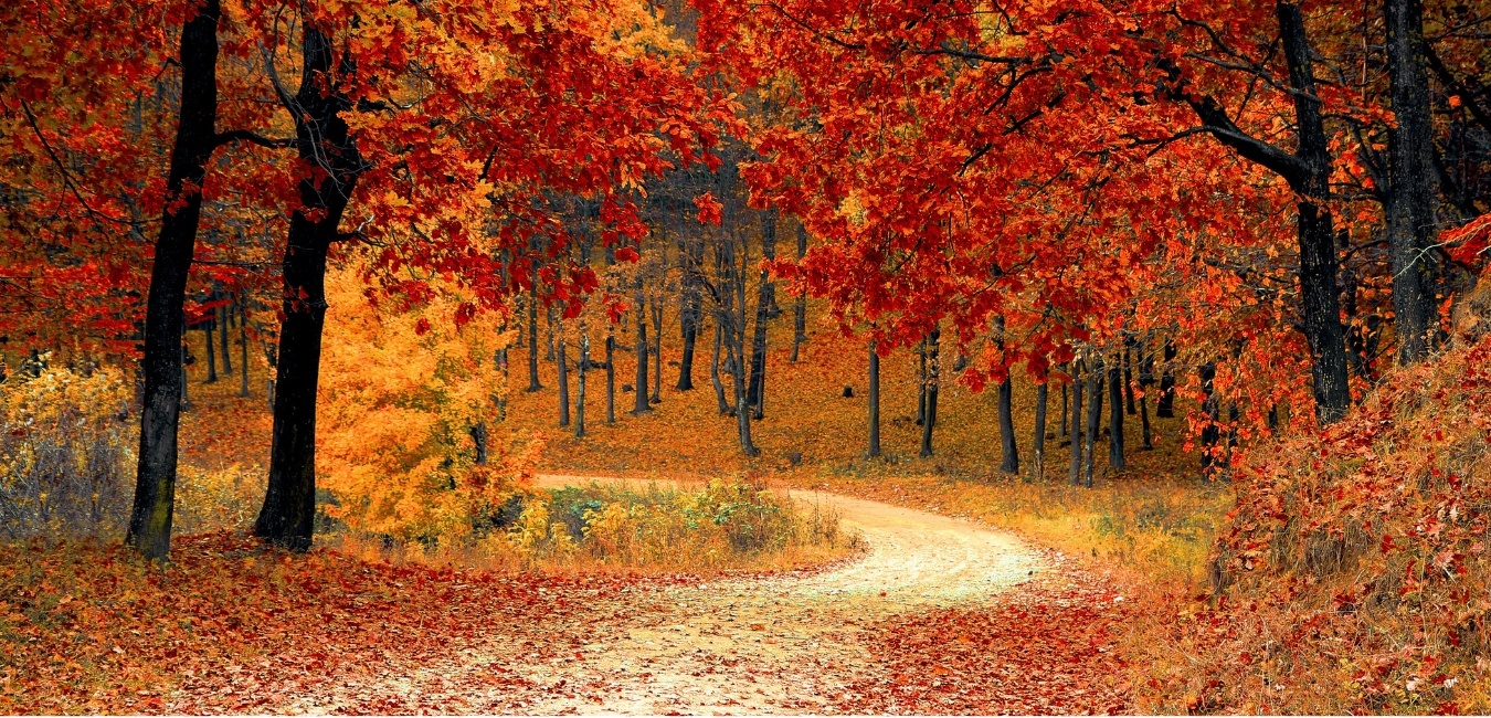 Seasonal Transition Health issues | Ayurvedic Cure Melbourne